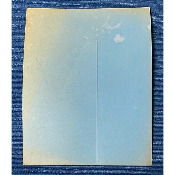 Vtg 1963 Kern County Wild Flowers Bakersfield CA Book Store Display Sign 995A - Picture 3 of 3